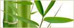 Botox | Laser Hair Removal | Microdermabrasion | Nogales